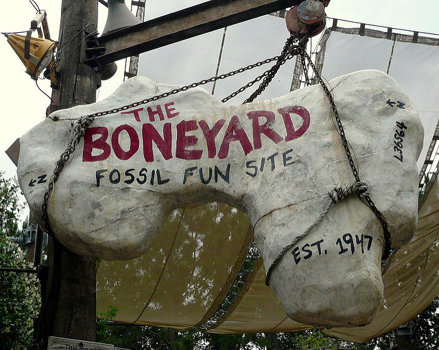 The Boneyard Playground