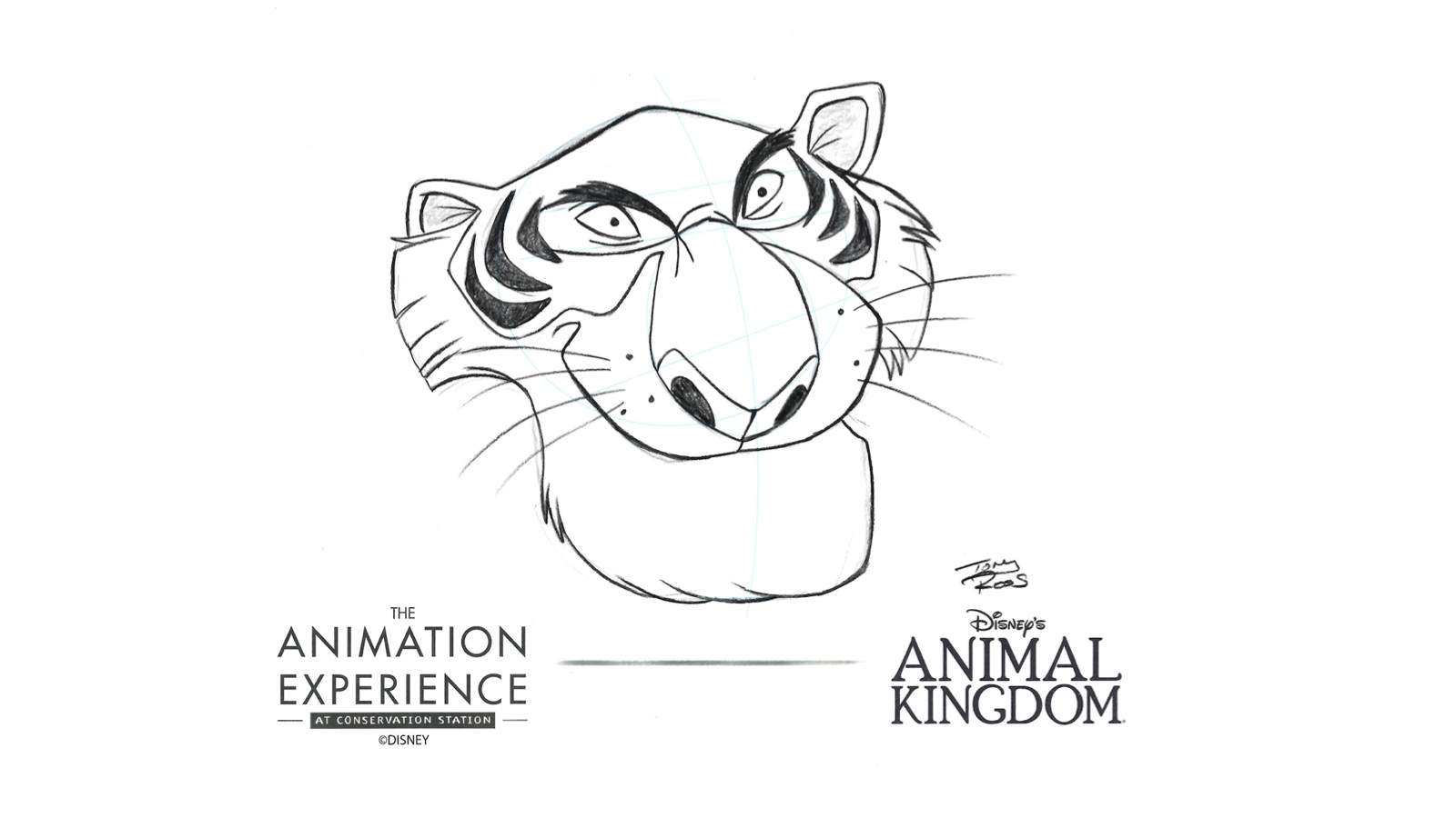The Animation Experience