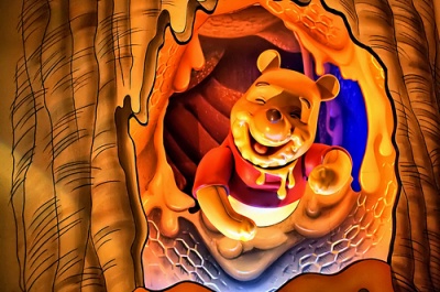  Many Adventures of Winnie the Pooh Magic Kingdom