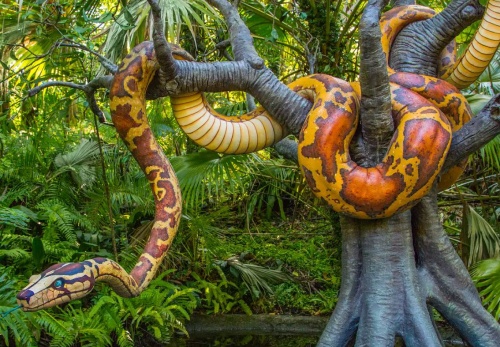  Jungle Cruise Python Magic Kingdom